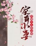 家有小妻:首辅大人很会撩书名