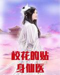 校花的贴身仙医