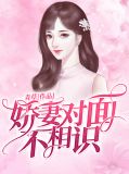 娇妻对面不相识林安茉宫熠