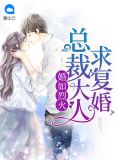 婚如烈火：总裁大人求复婚陆明康