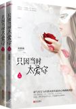 只因当时太爱你小说