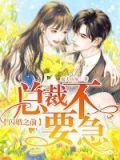 总裁闪婚你别追全文免费阅读