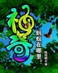 神奇蚂蚁在哪里！