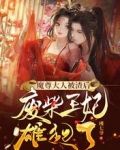 魔尊大人被渣后，废材王妃雄起了