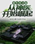 重生四合院：从神医开始崛起