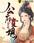 公府贵媳