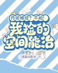 丹田被挖？不怕！我捡的空间能治