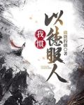 我惯以德服人