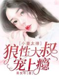 小妻太撩：狼性大叔宠上瘾