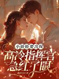 小娇娇小说免费
